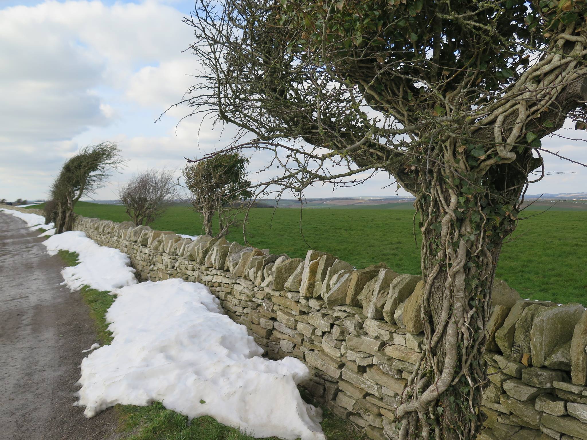 Dry Stone Walls Dorset Dswa