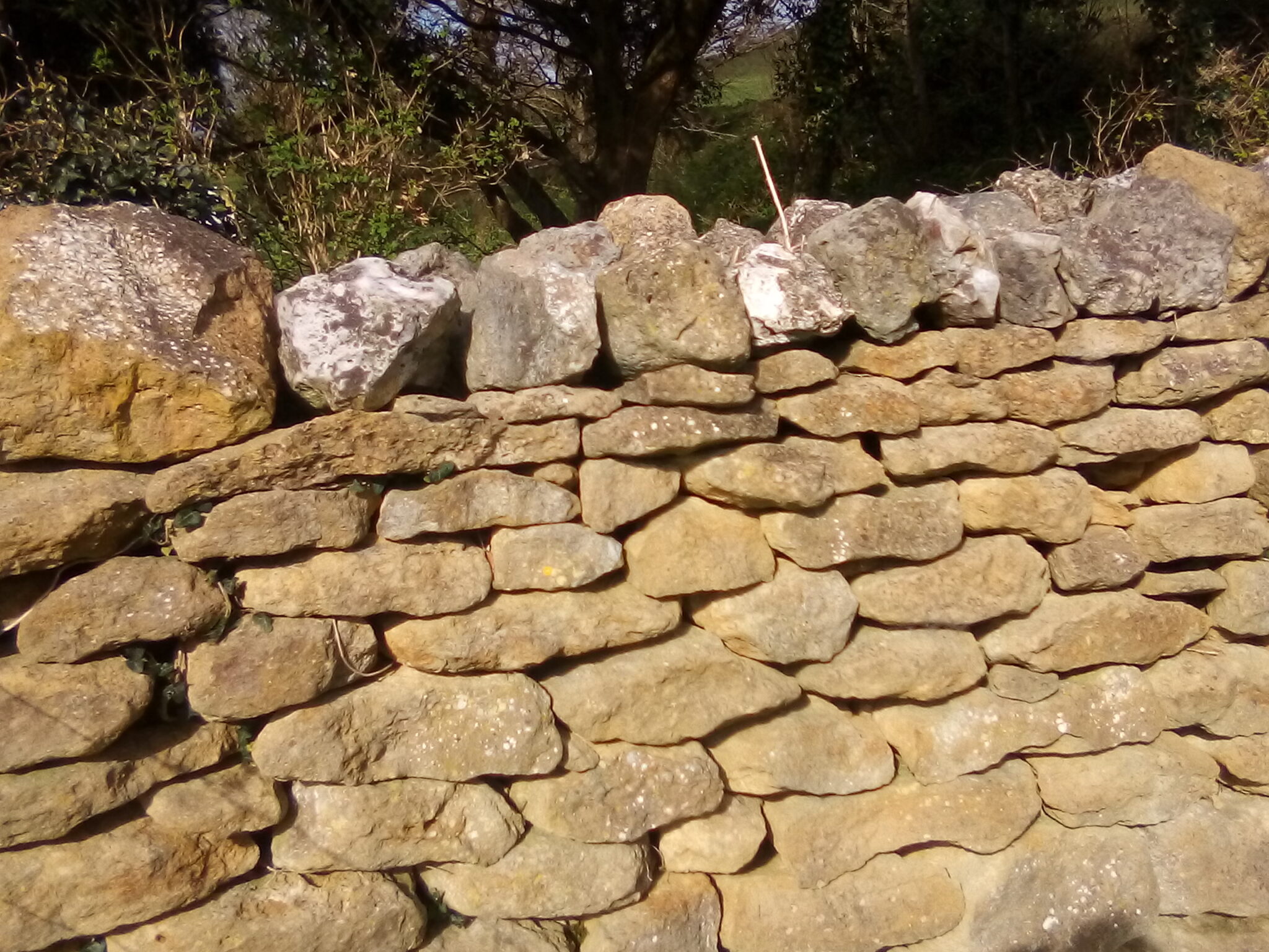 oolite stone wall